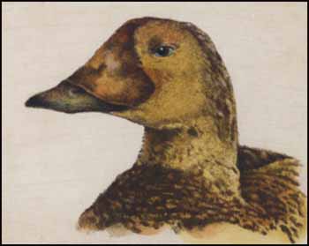 Eider Hen by Jack L. Cowin sold for $173
