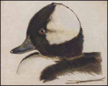 Bufflehead Drake by Jack L. Cowin sold for $173