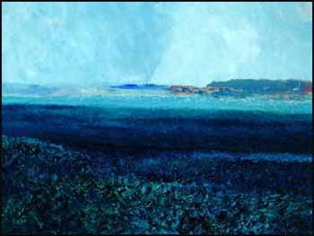 Shake Bog, County Meath by Daniel O'Neill vendu pour $25,875