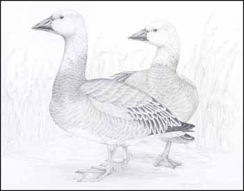 Two Ducks (01756/2013-231) by Heather McClure sold for $94