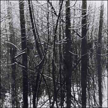 Beaver Swamp, Spring Snow III (02141/2013-1285) by Judy Gouin vendu pour $313