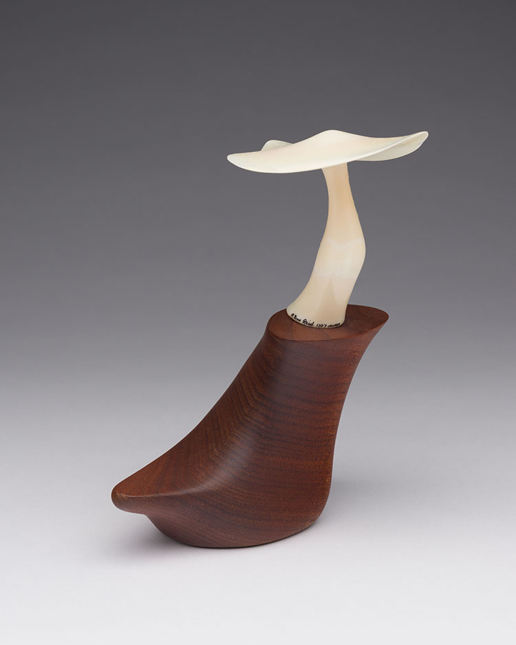 One Mushroom par Robert Dow Reid