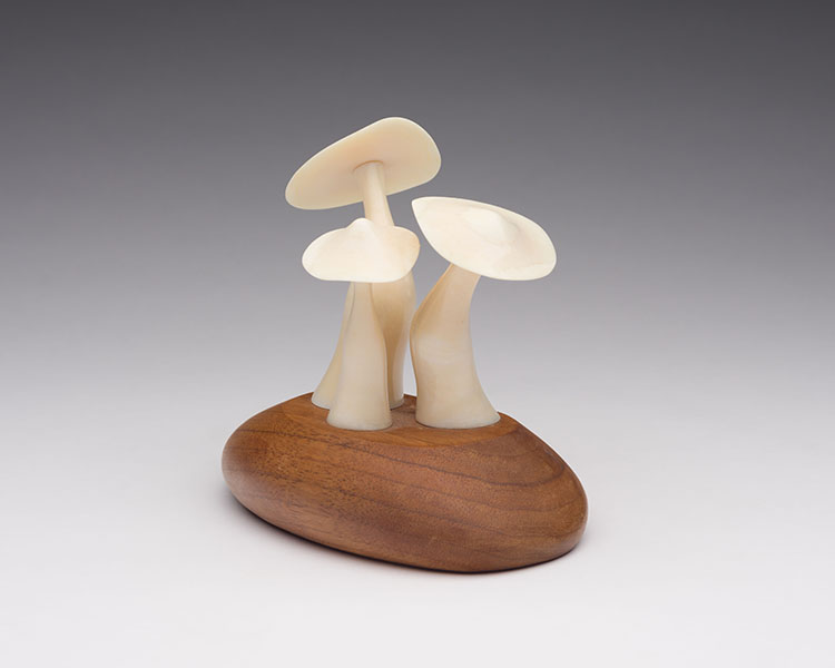 Three Mushrooms par Robert Dow Reid