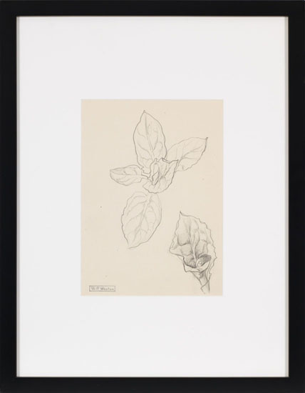 Flowers par William Percival (W.P.) Weston
