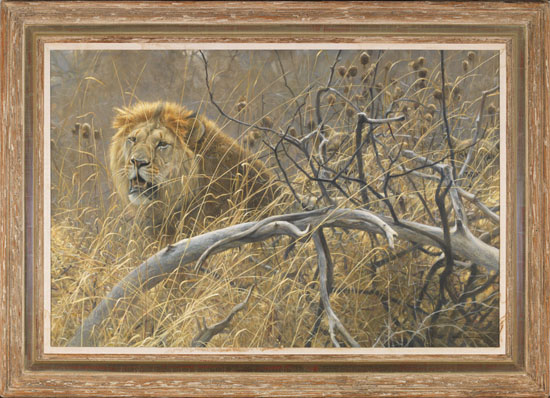 Lions in the Grass par Robert Bateman