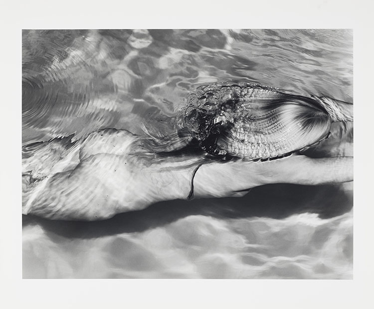 Mermaid 1, Amagansett, NY by Michael Dweck