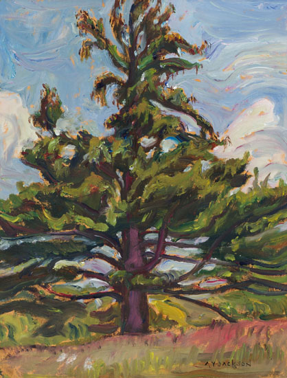 Old White Pine, Madoc, Ontario by Alexander Young (A.Y.) Jackson