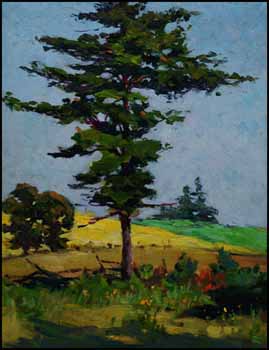 Pine on the Hilltop by Elizabeth Annie McGillivray Knowles sold for $978