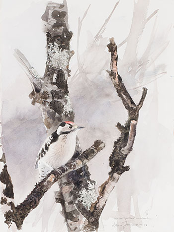 Lesser Spotted Woodpecker by Lars Jonsson vendu pour $1,500