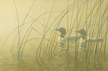 Loons in Morning Mist by Robert Bateman vendu pour $157,250