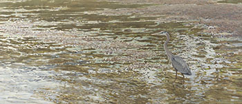 Great Blue Heron by Ron Kingswood sold for $3,750