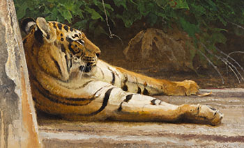 Long Thoughts, Bengal Tiger by Robert Frederick Kuhn sold for $55,250