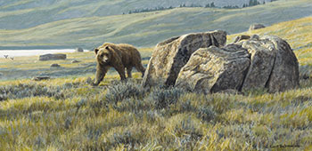 Kodiak Bear Rounding Rocks by Robert Bateman sold for $40,250