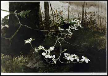 Dogwood by Andrew Wyeth vendu pour $8,625