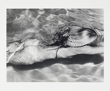 Mermaid 1, Amagansett, NY by Michael Dweck sold for $3,750