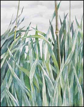Grasses (with Bamboo) (00780/2013-582) by Jo Manning sold for $162