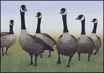 Canada Geese (00966/2013-1814) by Don Li-Leger vendu pour $563