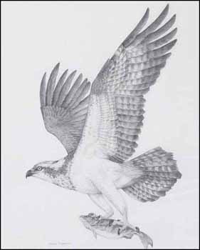 Hawk and Fish (01730/2013-359) by Heather McClure sold for $162