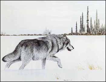 Lone Wolf (02143/2013-1234) by Randy Fehr vendu pour $250