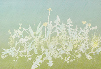 Dandelion III (03978) by Anna Chou Ying Wong vendu pour $180