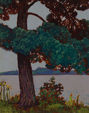 The Big Pine, Lake of the Woods by Frank Hans (Franz) Johnston