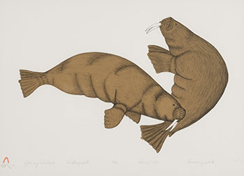 Young Walrus by Kananginak Pootoogook