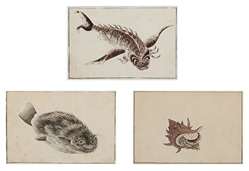 Three Japanese School Fish Study Paintings, circa 19th Century by 19th Century Japanese Art