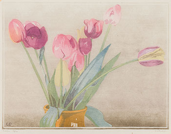 Tulips by Walter Joseph (W.J.) Phillips