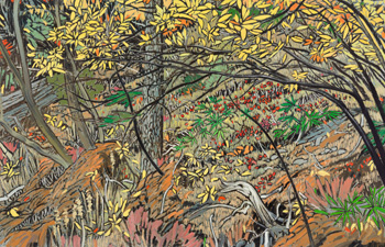 Tangled Undergrowth, Kluane by Edward William (Ted) Godwin
