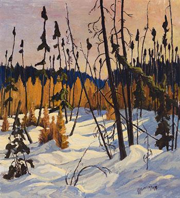 Boreal Forest, North of Lake Superior, 1949 by Dr. Maurice Hall Haycock