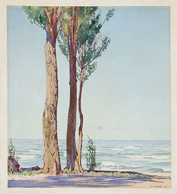 Lombardy Poplars by Lake Huron par Walter Joseph (W.J.) Phillips