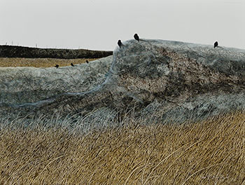 Blackbirds on Granite by Ken Kirkby