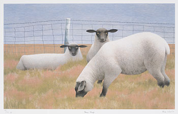Three Sheep by Alexander Colville