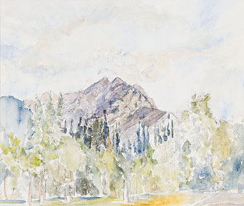 Mountain Series, Aspens par Dorothy Knowles