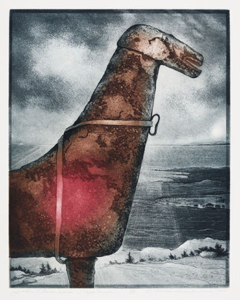 John Stokes Horse: Cape Freels par David Lloyd Blackwood
