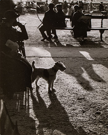 The Luxembourg Garden in the afternoon, 1928 by André Kertész