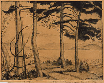 Trees on Savary Island by Edward John (E.J.) Hughes