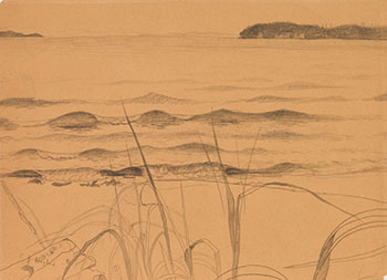 Incoming Tide, Savary Island par Edward John (E.J.) Hughes