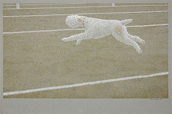 Running Dog by Alexander Colville