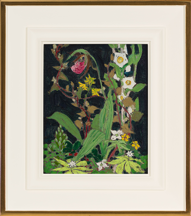 Moccasin Flower or Orchids, Algonquin Park by Thomas John (Tom) Thomson