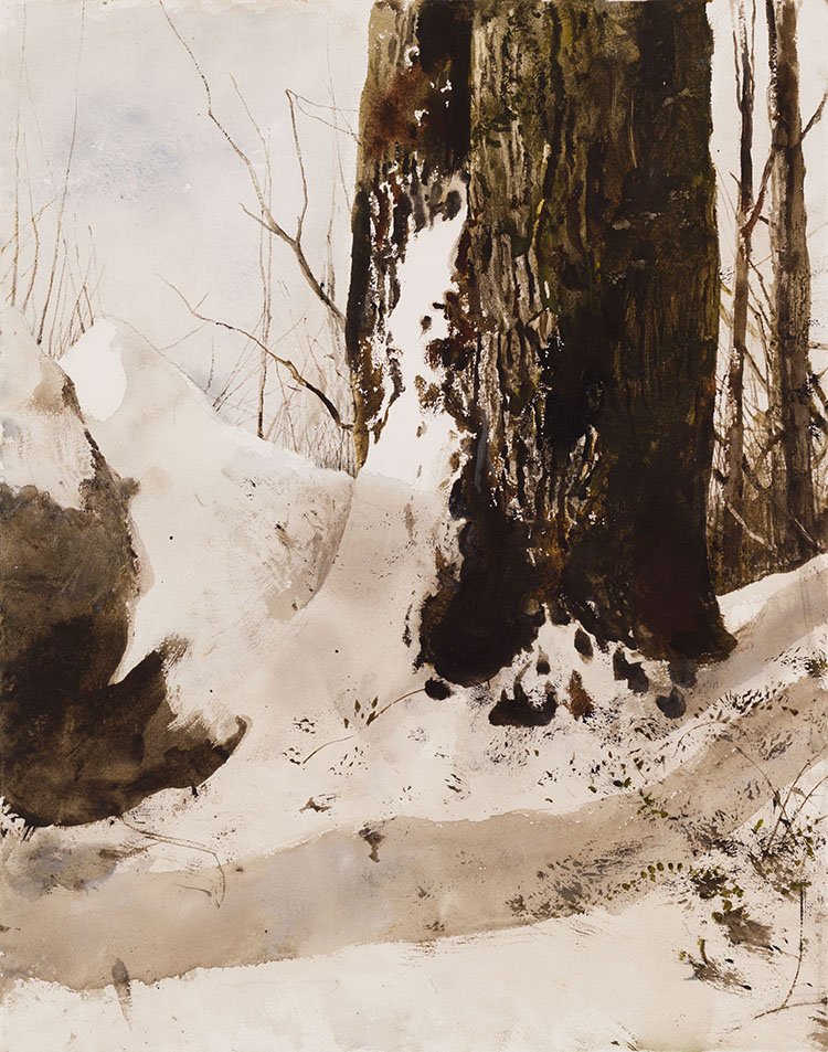 Under Snow by Andrew Wyeth