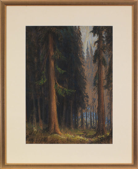 The Spruce Woods par Roland Gissing