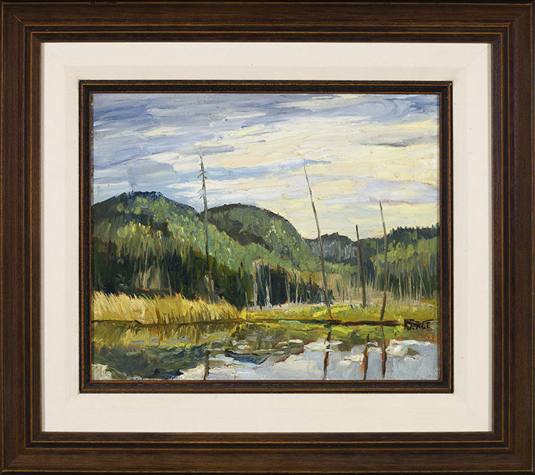 Opeongo Swamp, Algonquin Park by Lawrence Nickle