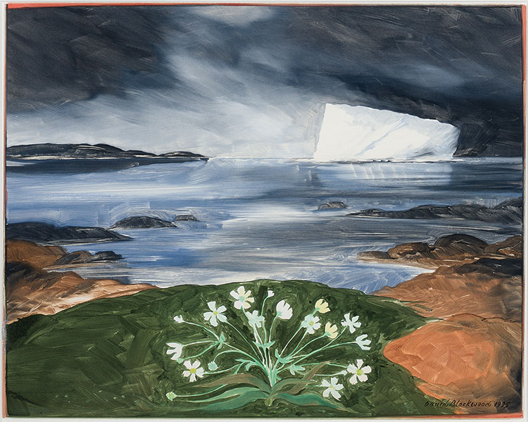 Grounded Iceberg, Lumsden par David Lloyd Blackwood
