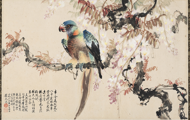 Wisteria and Parrot par Zhao Shiguang