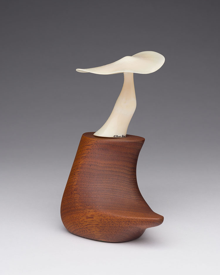 One Mushroom by Robert Dow Reid