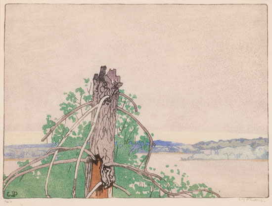 Stump, Lake of the Woods by Walter Joseph (W.J.) Phillips