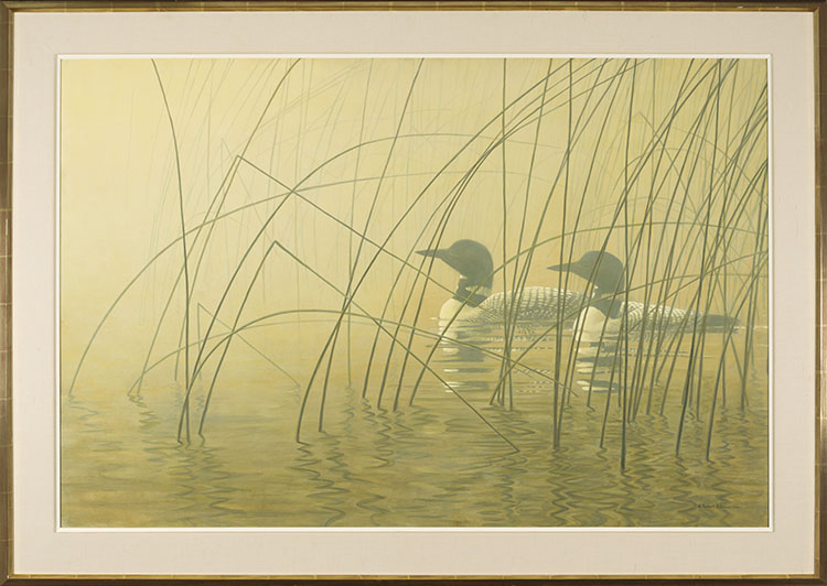 Loons in Morning Mist by Robert Bateman