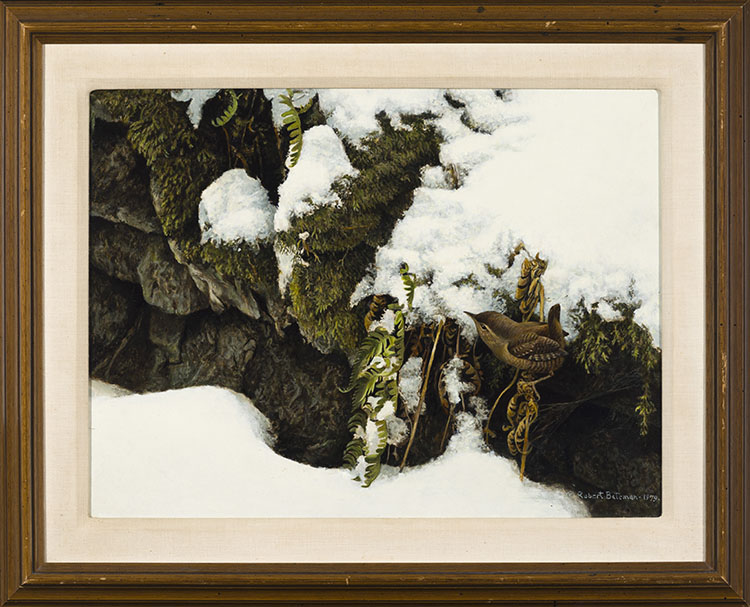 Winter Wren par Robert Bateman