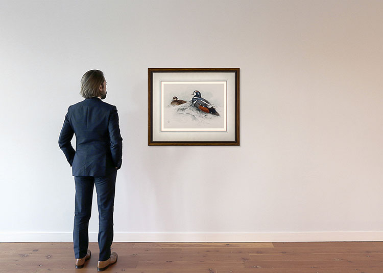 Harlequin Ducks by Martin Glen Loates